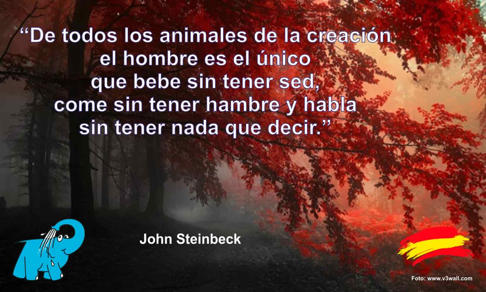 De todos los animales de la creación el hombre es el único que bebe sin tener sed, come sin tener hambre y habla sin tener nada que decir.
